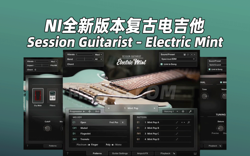 NI经典复古自动伴奏电吉他Native Instruments – Session Guitarist – Electric Mint 1.1.0 KONTAKT