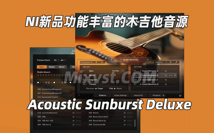 NI2024.5月新品音源木吉他Native Instruments Session Guitarist – Acoustic Sunburst Deluxe v1.0.2 KONTAKT康泰克音源