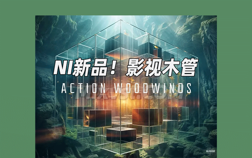 影视配乐木管康泰克音源Native Instruments Action Woodwinds v1.0.0 KONTAKT